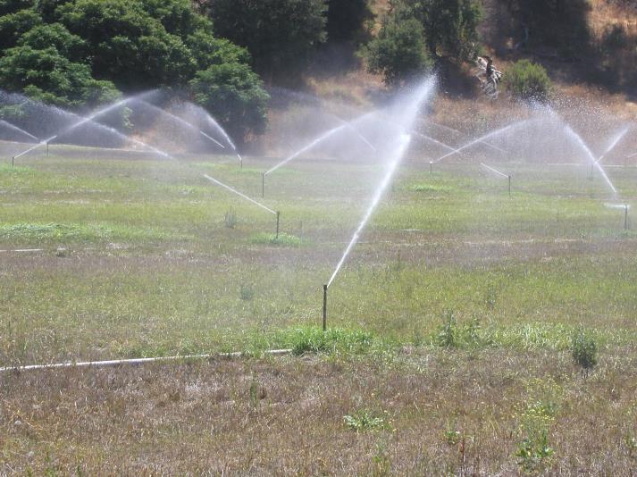 Spray fields