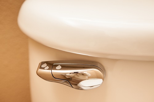 toilet-handle