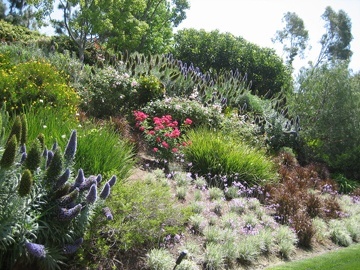 Hillside Landscaping