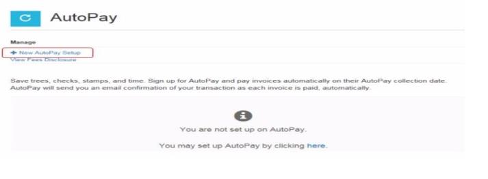 AutoPay Setup 2